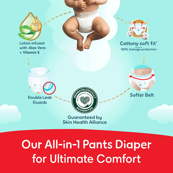 Carousel Main Image 7