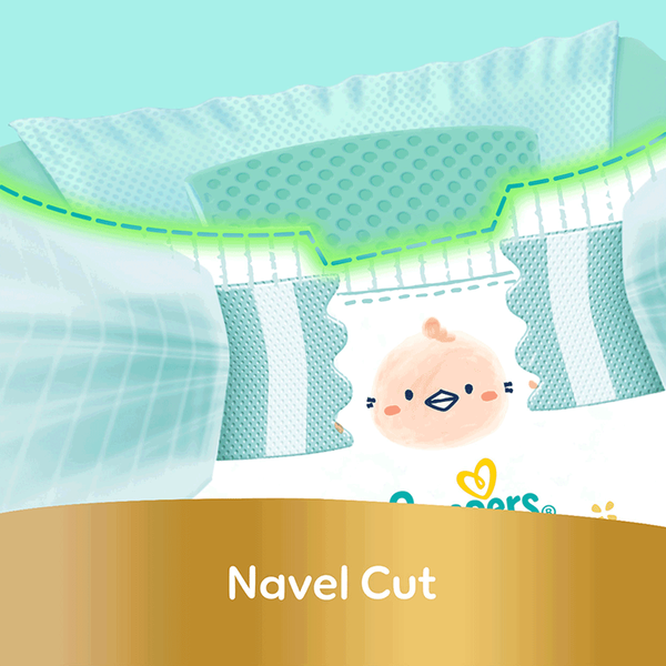 Carousel Main Image 6