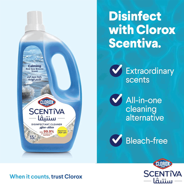 Carousel Main Image 2