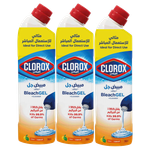 Clorox Citrus Gel Cleaner Value Pack