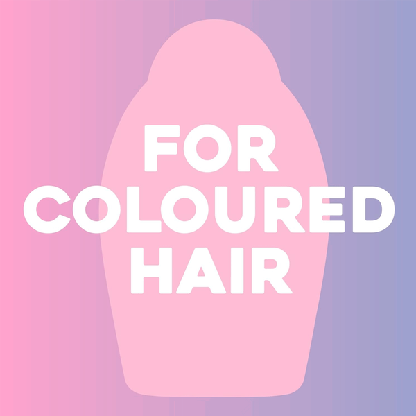 Carousel Main Image 6