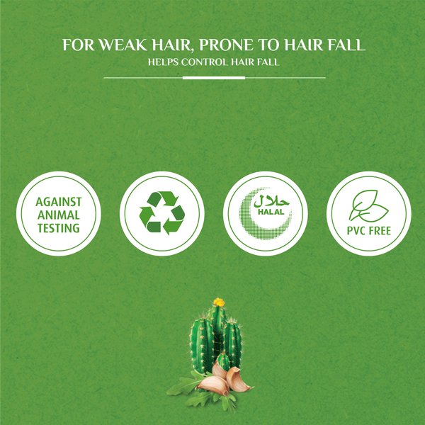 Carousel Main Image 3