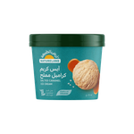 Natureland Salted Caramel Ice Cream