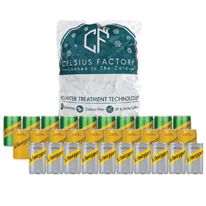 Schweppes Assorted + Ice Cubes 