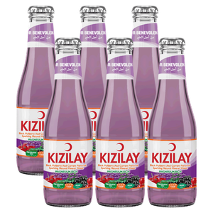 Kizilay Black Mullbery-currant flavoured Sparkling minaral water 200 ml