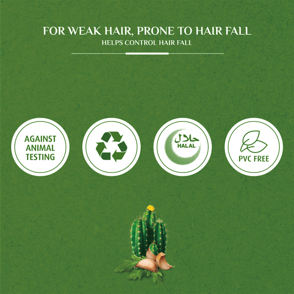 Carousel Main Image 4