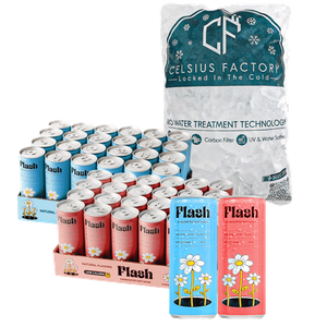 Flash Pink & Blue Assorted + Ice Cubes