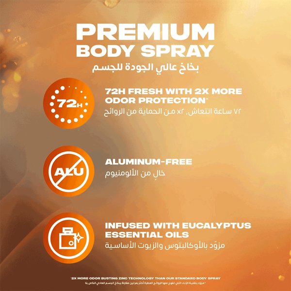 Carousel Main Image 7