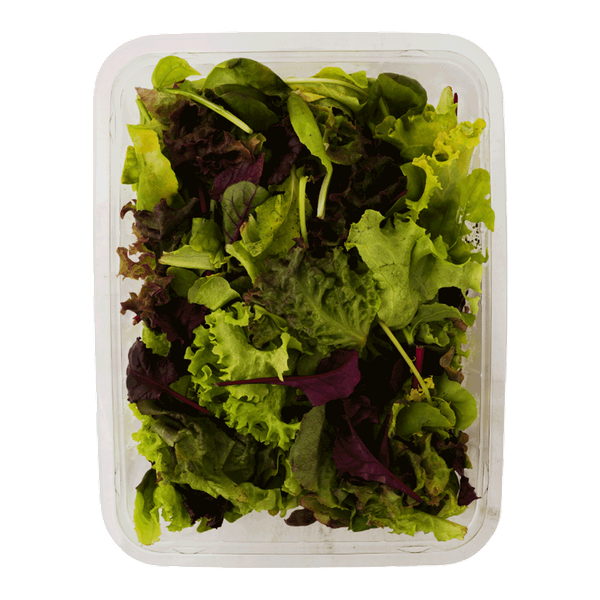 Carousel Main Image 2