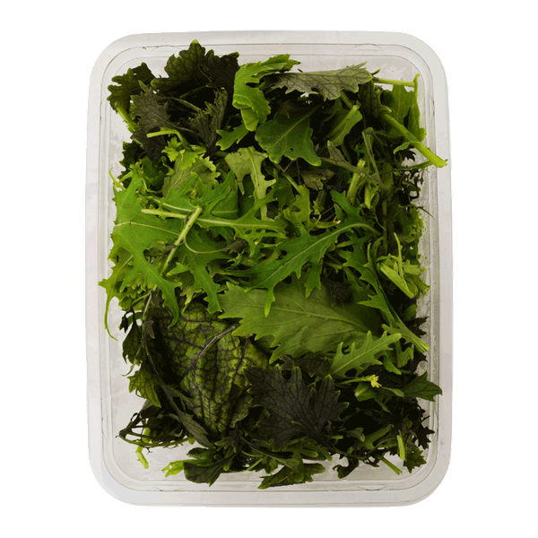 Carousel Main Image 2