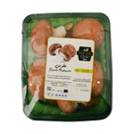 فطر بني قطري