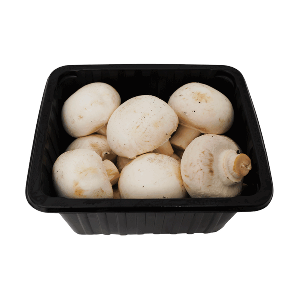 Carousel Main Image 2