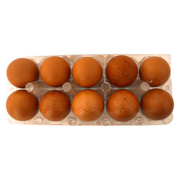 Carousel Main Image 2