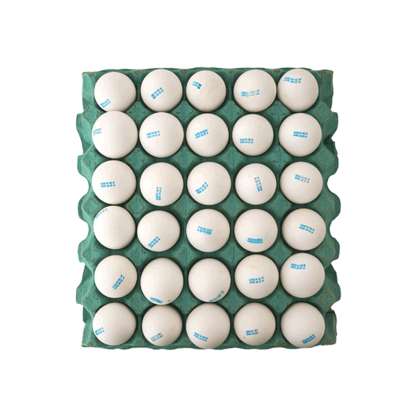 Carousel Main Image 2