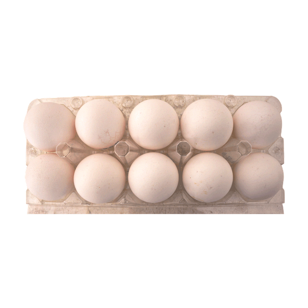 Carousel Main Image 2