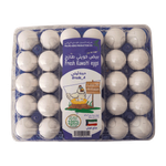 بيض أبيض من النخيل