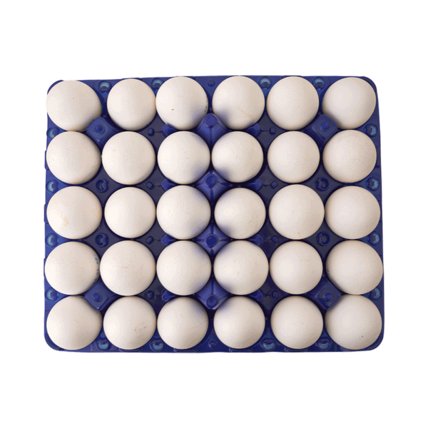 Carousel Main Image 2