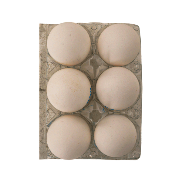 Carousel Main Image 2