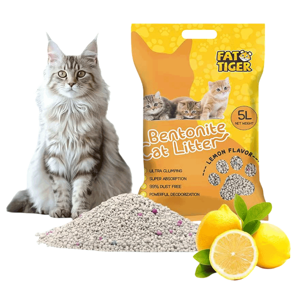 Carousel Main Image 3