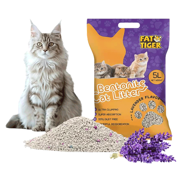 Carousel Main Image 3