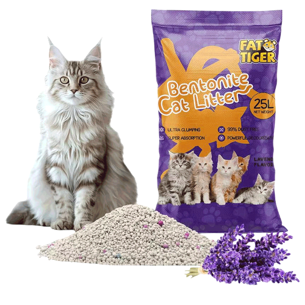 Carousel Main Image 3