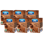 Saudia Double Chocolate Milk