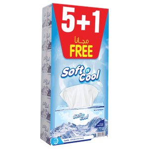 Soft N Cool White 2 Ply Tissue 
