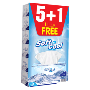 Soft N Cool Facial Tissue 