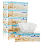 Hotpack Facial Tissue