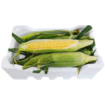 Kuwaiti Corn