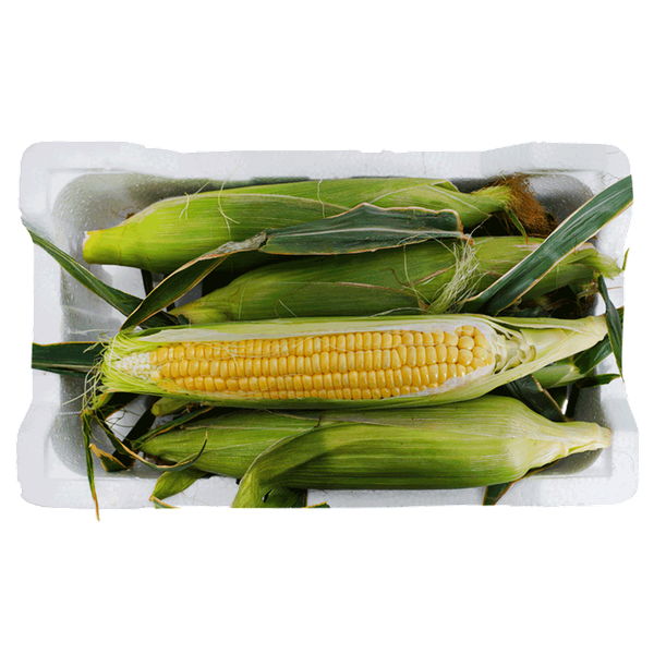 Carousel Main Image 2