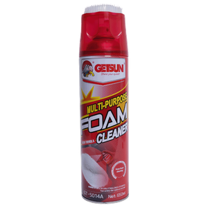 Getsun Foam Cleaner 
