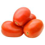 طماطم برقوق هولندية