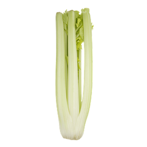 American Fresh Celery