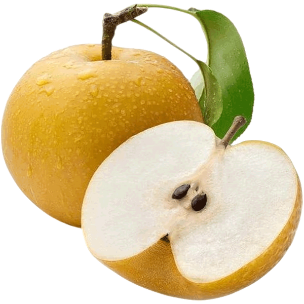 Carousel Main Image 2