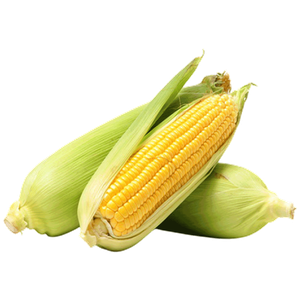 Kuwaiti Fresh Corn