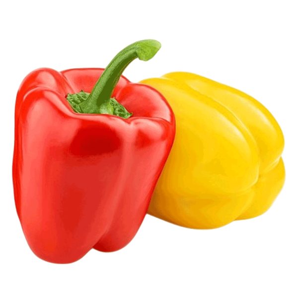 Carousel Main Image 2