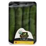 Agrico Qatar Organic Fresh Cucumber