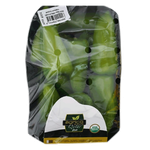Agrico Qatar Organic Fresh Green Snack Capsicum