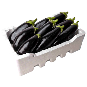 Kuwaiti Fresh Organic Eggplant – Foam Box