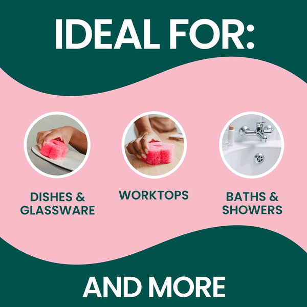 Carousel Main Image 6