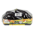 Agrico Qatar Organic Fresh Eggplant