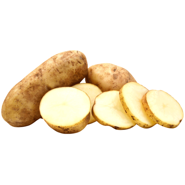 Carousel Main Image 1