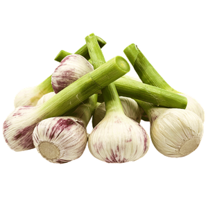 Egyptian Fresh Garlic