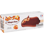 Haagen Dazs Salted Caramel Ice Cream