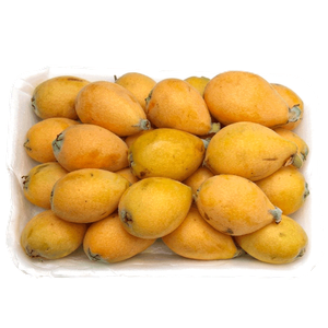 أكيدينيا اردنية طازجة