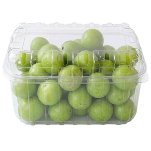 Lebanese Fresh Janarik
