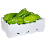 Fresh Green Capsicum