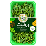 La Farm Fresh Kuwaiti Baqleh