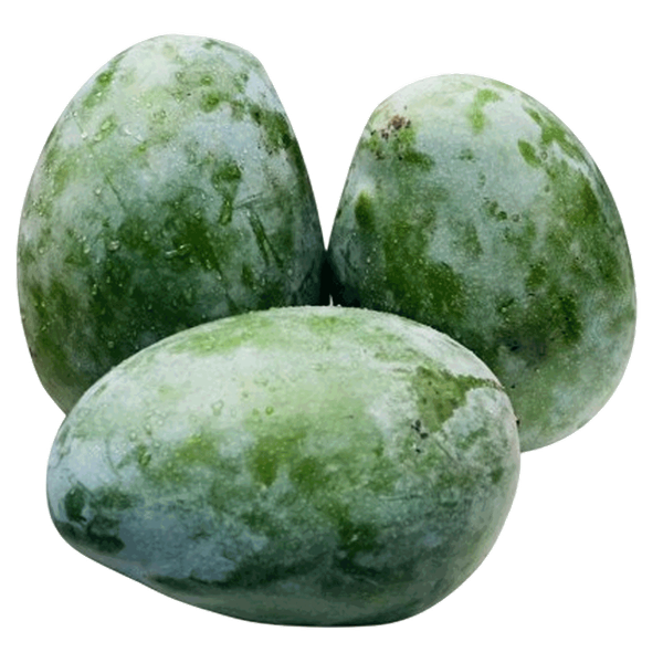 صورة المنتج 3